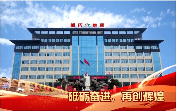 開(kāi)好局 譜新篇——都氏集團(tuán)聯(lián)盛電力二期項(xiàng)目順利投產(chǎn)